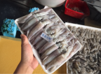 Mực ống 5-8cm